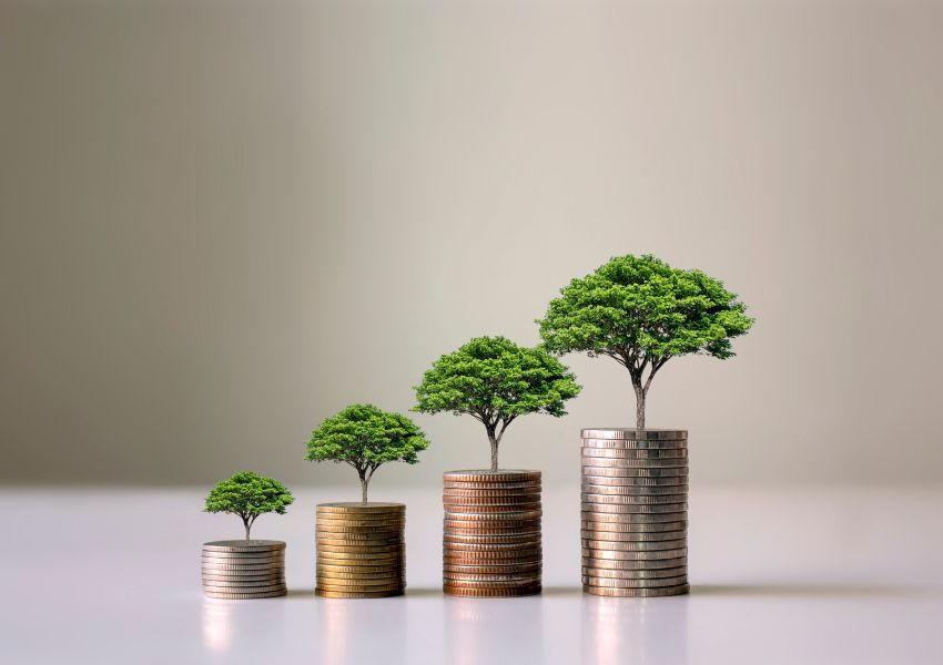 piles-of-coins-with-trees